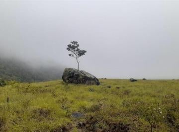 Terreno / Lote , Volcan · Propiedad de Casi 25 Acres en Parque Nacional en Venta en Paso Ancho, Volcán, Panamá