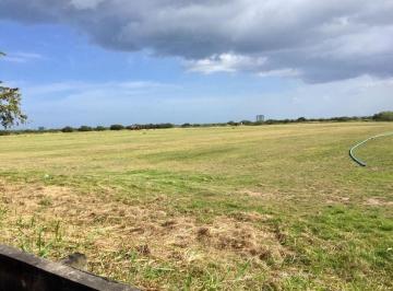 Terreno / Lote , Playas · Vendo Terreno Plano Entre Anta Monica, Buenaventura y Playa Blanca. 100 Ha Mrm