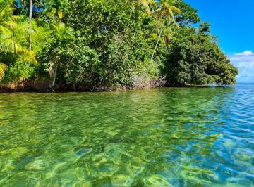 Finca · 31005m² · Venta de Terreno Frente Al Mar, Isla Popa, Bocas del Toro (13)