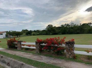 Terreno / Lote , San Carlos · Venta Terreno San Carlos en Complejo Residencial Punta Barco Village