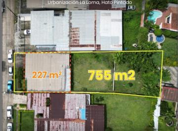 Casa · 227m² · 2 Recámaras · 2 Estacionamientos · Casa en Venta – La Loma, Hato Pintado | Lh