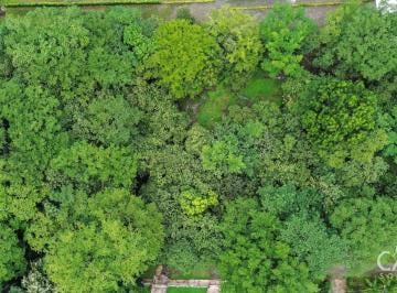 Terreno / Lote , David · Lote de 6,723 m² en Venta en Santa Cruz, David, Chiriquí, Cerca de La Carretera Principal
