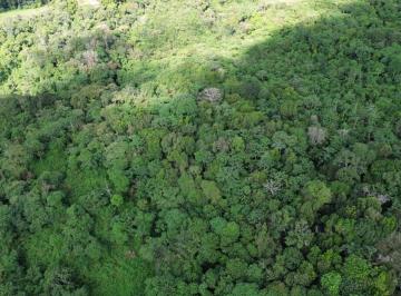 Terreno / Lote , Dolega · ¡Reducción de Precio! Lote de 24 Acres en Venta en Potrerillos Arriba y con Quebrada