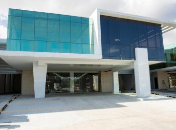 Bodega-Galpón-Depósito · 303m² · Alquiler de Bodega en Panamá Viejo Bussines (8)