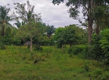 Terreno / Lote , Barú · Lote de 1 Hectárea en Venta con Estructura en El Palmar, Puerto Armuelles – Cerca del Pueblo