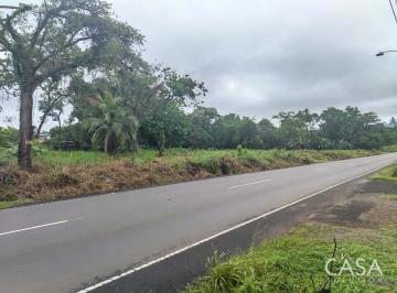 Terreno / Lote , Dolega · Lote de 19,000 m² en Venta en Dolega con 212.54 m de Frente a La Calle en La Carretera a Boquete