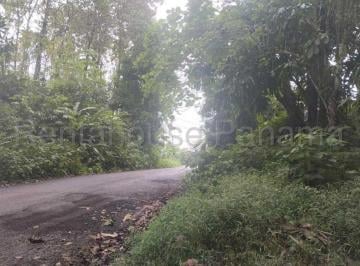 Terreno / Lote , Colón · Se Vende Terreno en Gatun Dpa26 - 2191