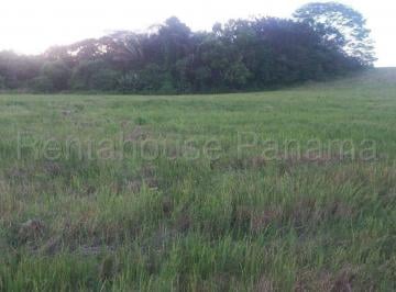 Terreno / Lote , Chepigana · Se Vende Terreno en Darien Dpa26 - 3242
