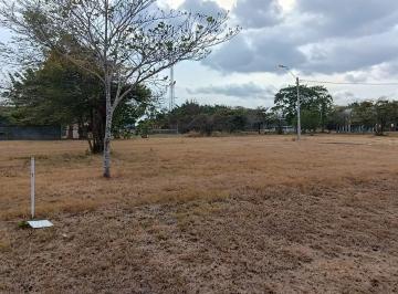 Terreno / Lote · 800m² · Coronado, Se Vende Terreno en Palmeras del Golf
