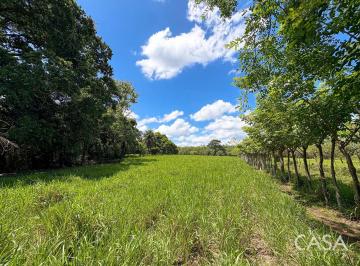 Terreno / Lote , David · 3.25 Hectáreas de Finca Frente Al Río en Venta en Guacá, David, Chiriquí | Terreno Mayormente Plano