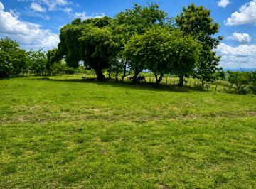 Terreno / Lote , Antón · (As) Terreno en Venta en Río Hato | Casi 10 Hectáreas | Cerca Al Aeropuerto Scarlett Martinez