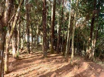 Terreno / Lote · 3069m² · Venta de Terreno El Torreon, Altos de Cerro Azul (13)