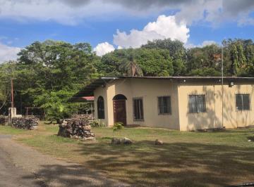Casa de 3 habitaciones, Dolega · Dolega Chiriqui Casa en Alquiler