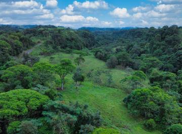 Terreno / Lote , Boquerón · Palma Real, Boquerón — Naturaleza, Espacio y Potencial en un Solo Lugar$259,295