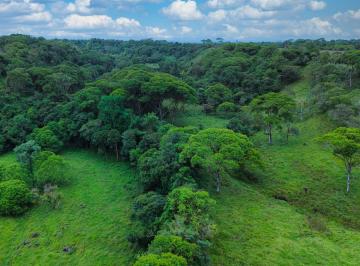 Terreno / Lote , Boquerón · Palma Real, Boquerón — Naturaleza, Espacio y Potencial en un Solo Lugar$259,295