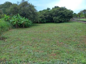 Terreno / Lote , San Carlos · Alquilo Terreno en San Carlos Ka26 - 2895