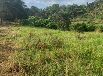 Terreno / Lote , La Chorrera · Venta de Terreno en Chorrera Ddb25 - 7816