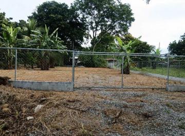 Terreno / Lote · 1025m² · Alquiler de Lote en David 1,025 m