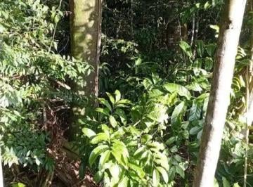 Terreno / Lote , Capira · Se Venden 10 Ha de Terreno en Villa Rosario, Capira