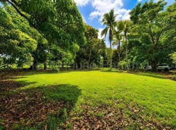 Terreno / Lote , Playas · Venta de Terreno en Cocle Ddb27 - 1339