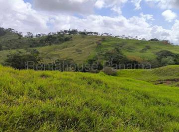 Terreno / Lote , Capira · Venta de Terreno en Lidice Ddb26 - 5772
