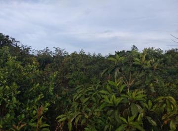 Terreno / Lote , Dolega · Terreno en Venta en Potrerillo Abajo, Chiriquí, Dolega, Zona Urbana