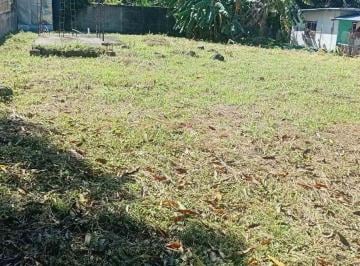 Terreno / Lote , David · Terreno en Venta en Barrio El Estudiante, Distrito de David, Provincia de Chiriquí
