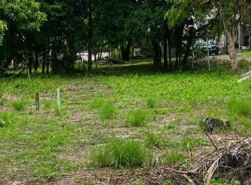 Terreno / Lote , Panamá · Se Alquila Terreno Entre Vía España y Transístmica