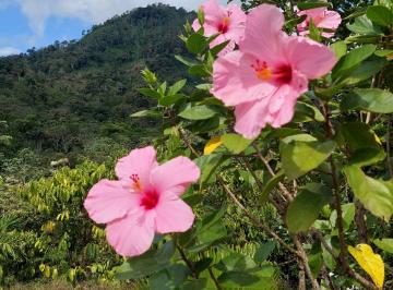 Terreno / Lote , Capira · Finca de 70 Has en Venta en Cirí de Los Sotos 10k X Ha