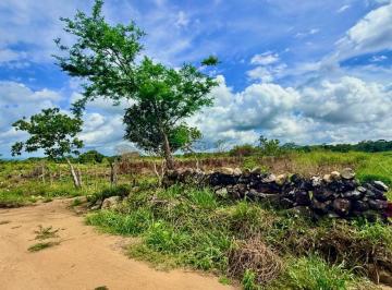 Terreno / Lote , Boquete · Finca de 1 Ha en El Frances - Boquete