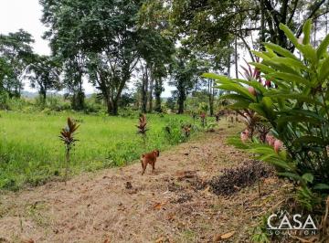 Terreno / Lote , Bocas del Toro · Impresionante Lote de 2 Hectáreas en Isla Cristóbal, Tierra Oscura, Bocas del Toro