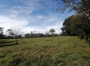 Terreno / Lote , Bugaba · 4.7 Acres de Terreno Fértil en Venta en Mata de Bugaba, Cerca de David, Chiriquí