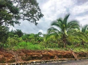 Terreno / Lote , Dolega · Lote en Venta con Árboles Frutales en Potrerillos, Cerca de Boquete, Panamá