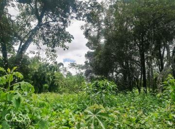 Terreno / Lote , Boquete · Lote Arbolado de 2.47 Acres en Venta en Palmira, Boquete, Chiriquí
