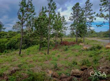 Terreno / Lote , Boquete · Lote Boscoso de 4,105 m² con Vistas a Las Montañas en Venta en Alto Boquete, Boquete, Chiriquí