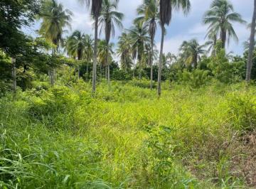 Terreno / Lote , Los Santos · Lote de Terreno en Venta - Vía Playa El Rompío