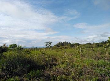 Terreno / Lote , Dolega · Gran Lote Plano de Casi 1.25 Ac en Venta en La Acequia, Potrerillos, Chiriquí