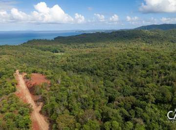 Terreno / Lote , Mariatos · Lote en Ladera de 13,064 m² con Vistas Al Océano y Potencial Elevado – Terra Jungle Estates– Lote 12
