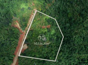 Terreno / Lote , Mariatos · Lote Boscoso de 1 Hectárea con Vista Al Océano y Frente a Carretera – Terra Jungle Estates – Lote 10