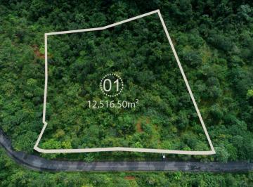 Terreno / Lote , Mariatos · Amplio Lote de 1 Hectárea con Pendiente Suave y Vistas a Las Montañas – Terra Jungle Estates –lote 1