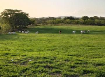 Finca , Santiago · Finca en Venta – Santiago, Veraguas