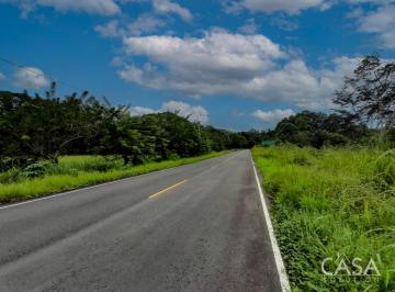 Terreno / Lote , Tolé · ¡Potencial de Desarrollo! Lote de 49 Acres con Vistas Al Océano en Venta en Tole, Chiriquí