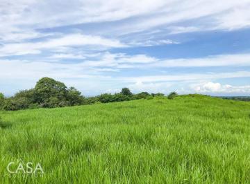 Terreno / Lote , Boquerón · Terreno de 18 Hectáreas en Venta en Bocalatún, Chiriquí, con Suelo Fértil y Frente Al Río