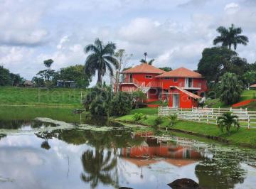 Terreno / Lote , La Chorrera · Venta de Terreno en Chorrera Ddb25 - 4376