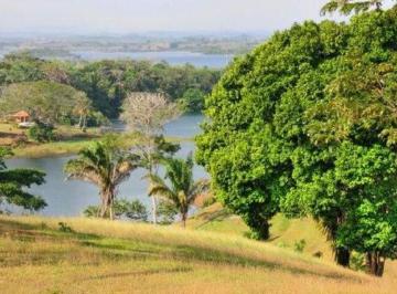 Terreno / Lote en Venta La Chorrera · Venta de Terreno en Chorrera Ddb26 - 7347