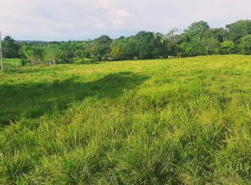 Terreno / Lote , La Chorrera · Venta de Terreno en Chorrera Ddb26 - 7099