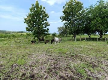 Finca · 99979m² · Finca de Casi 10 Hectáreas | Llano Bonito, Coclé | Es