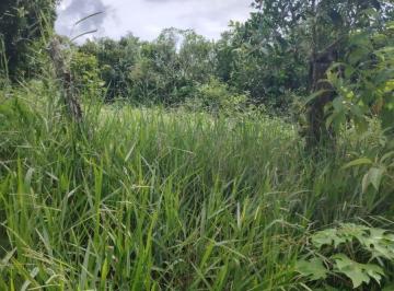 Terreno / Lote , Dolega · Lote de 9,441 m² en Venta en Los Mameyes, Potrerillos, Chiriquí