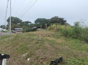Terreno / Lote , Antón · Venta Terreno Frente a Via Panamericana