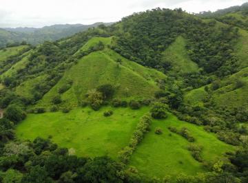 Terreno / Lote , Tonosí · Finca Céntrica de 224 Acres en Venta en Cambutal –frente Al Río, Montañas y Terrenos Planos Fértiles